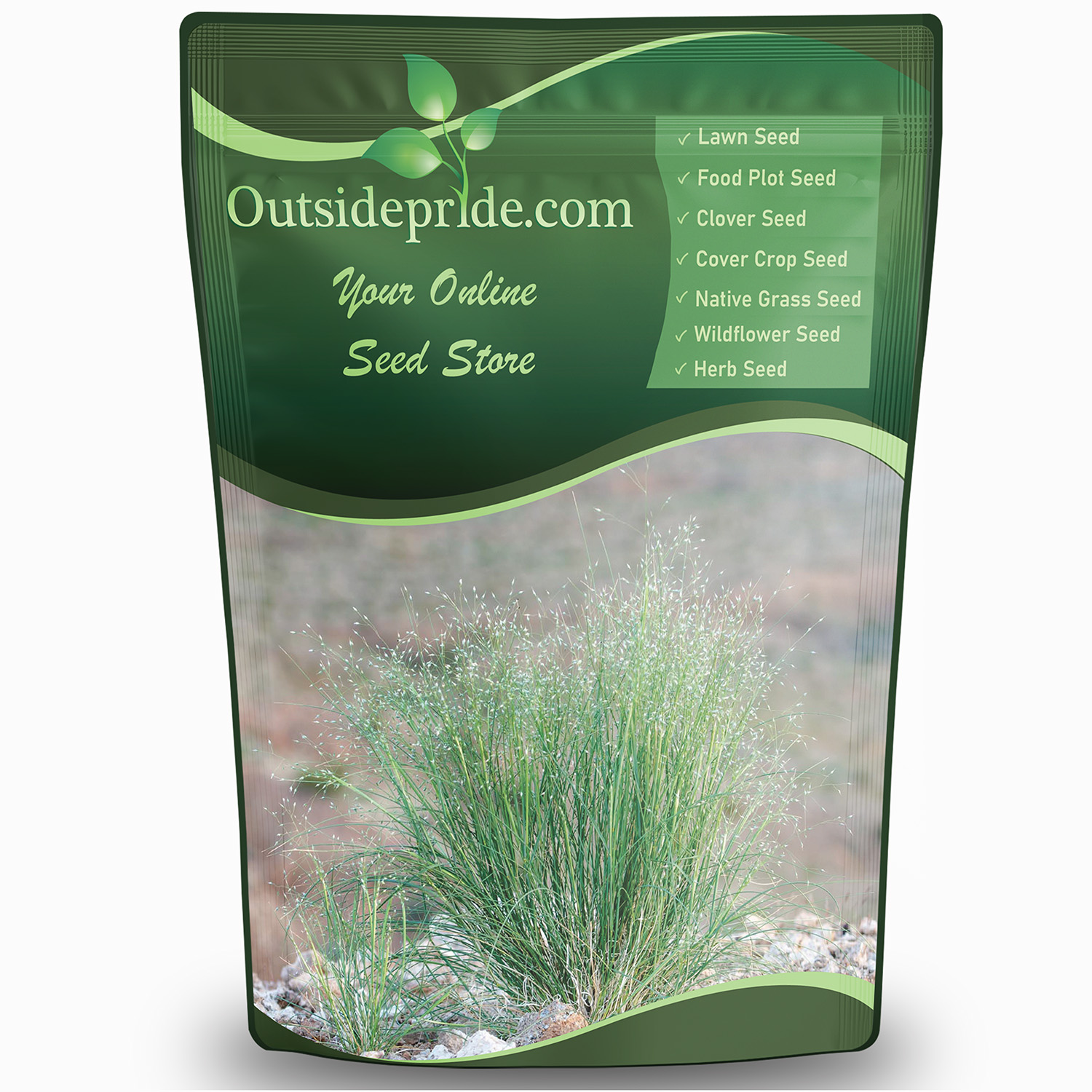Indian Rice Grass Bulk Seed