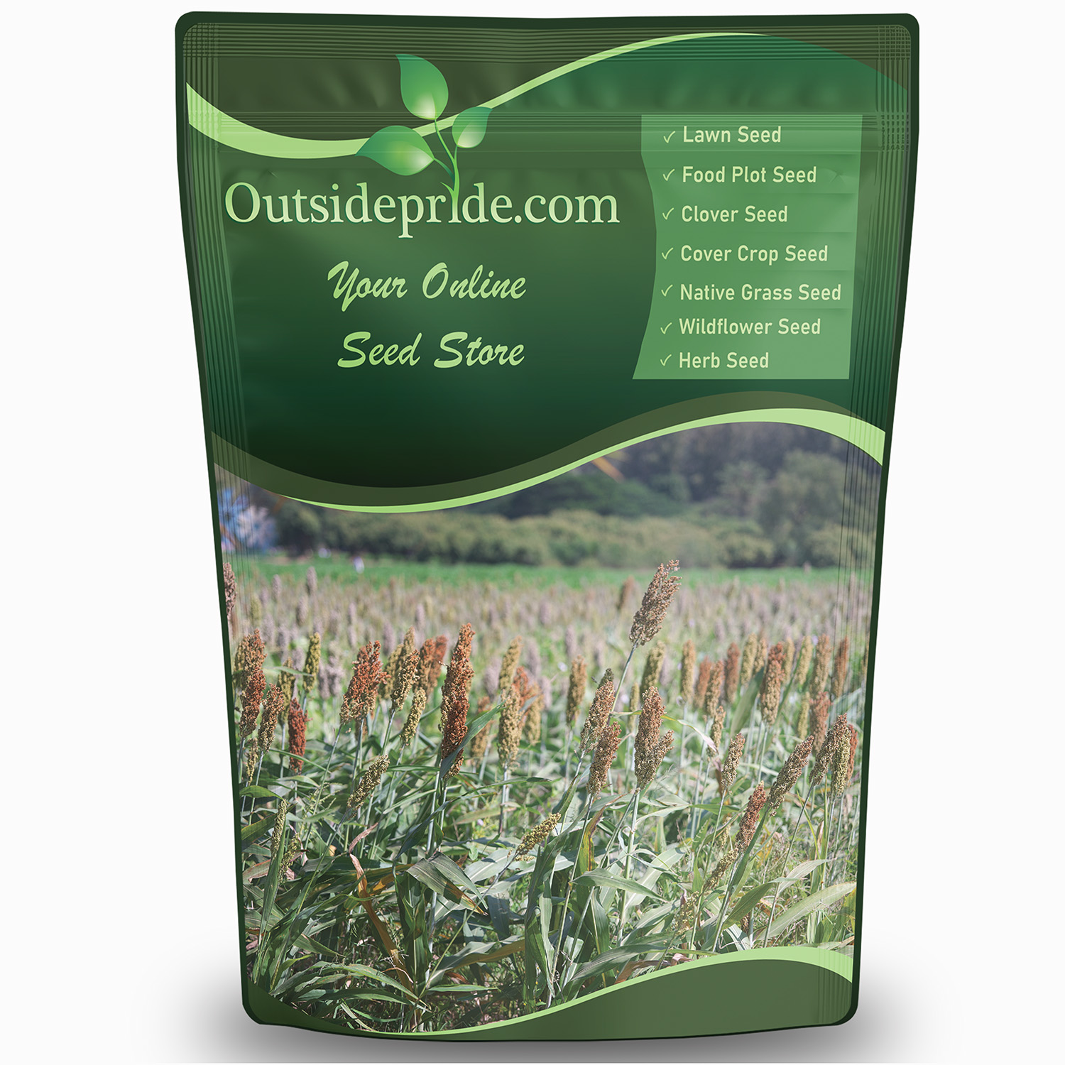 Japanese Millet Bulk Seed