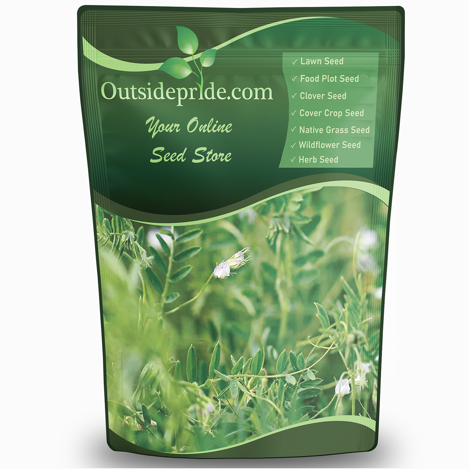 Lentils Plant From Cover Crop Seeds