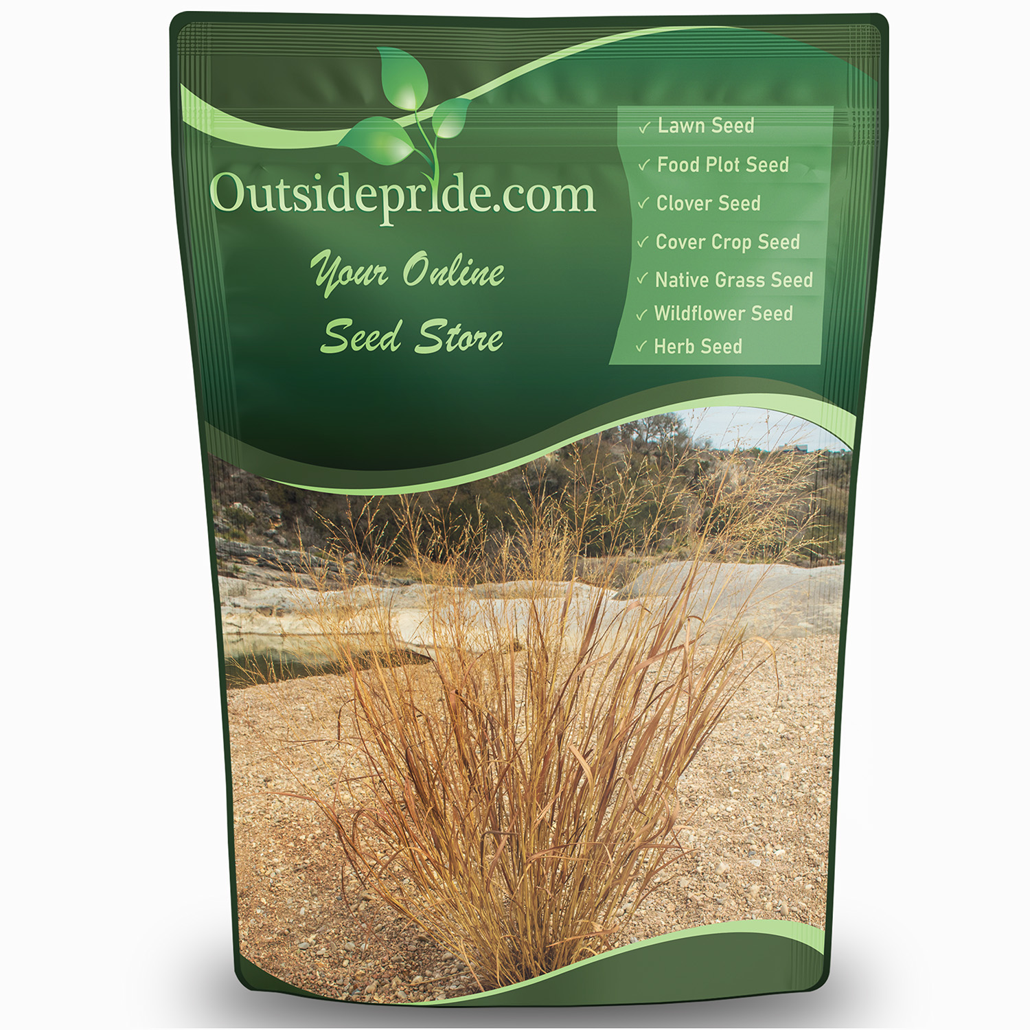 Little Bluestem Bulk Seeds