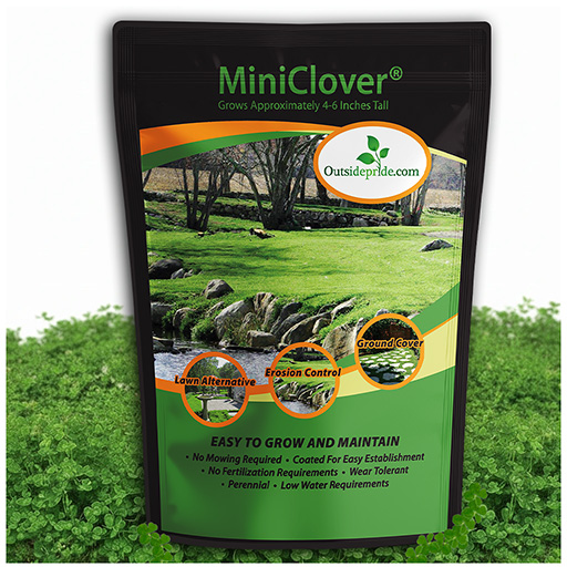 Microclover Chart
