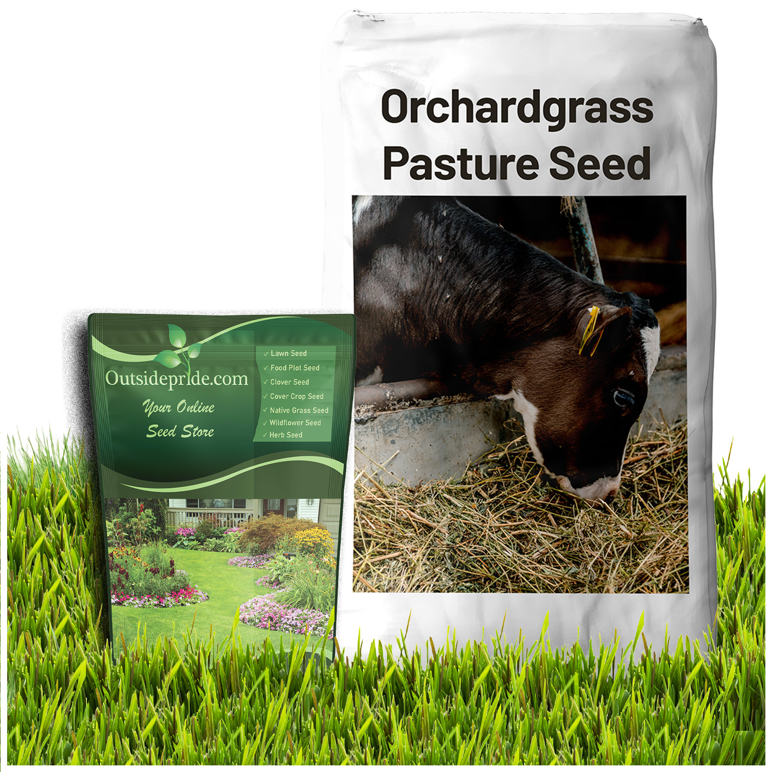 Orchard Grass Seed Bag