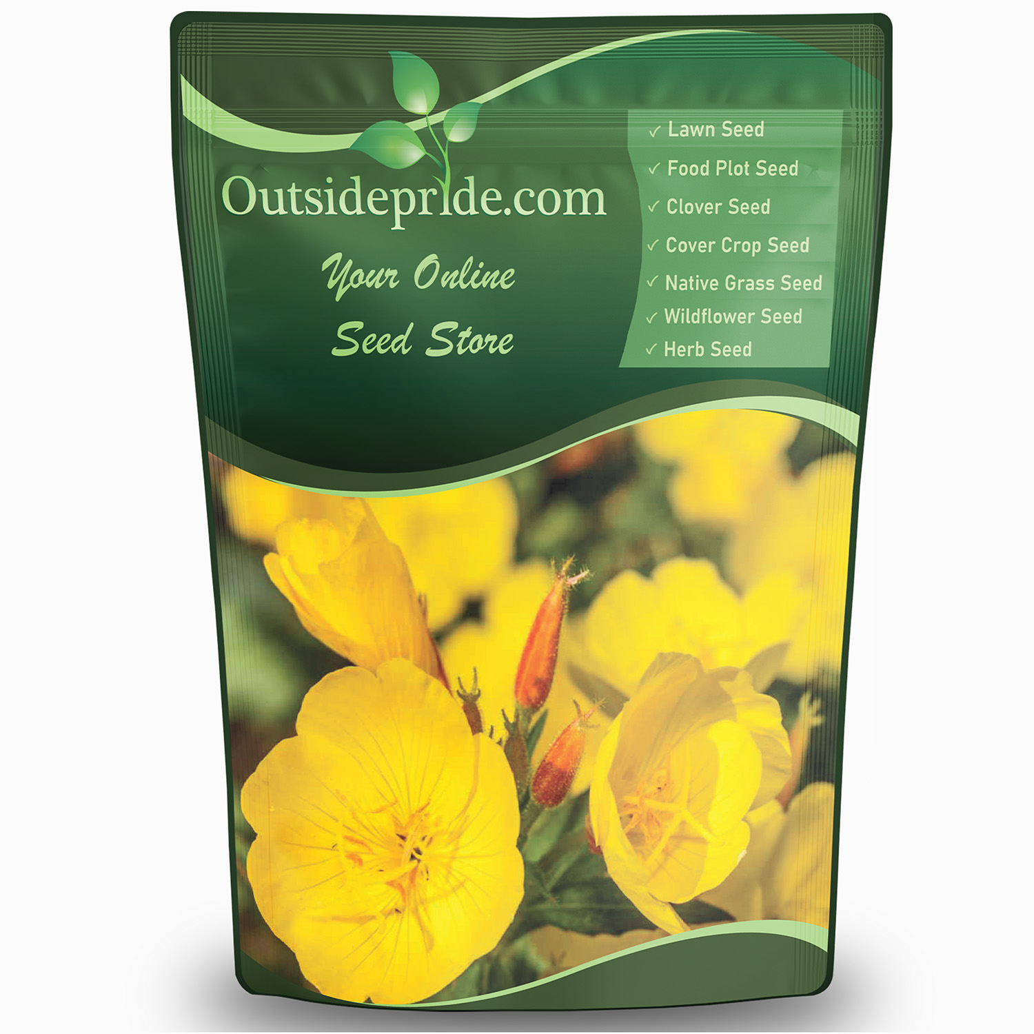 Evening Primrose Flowers