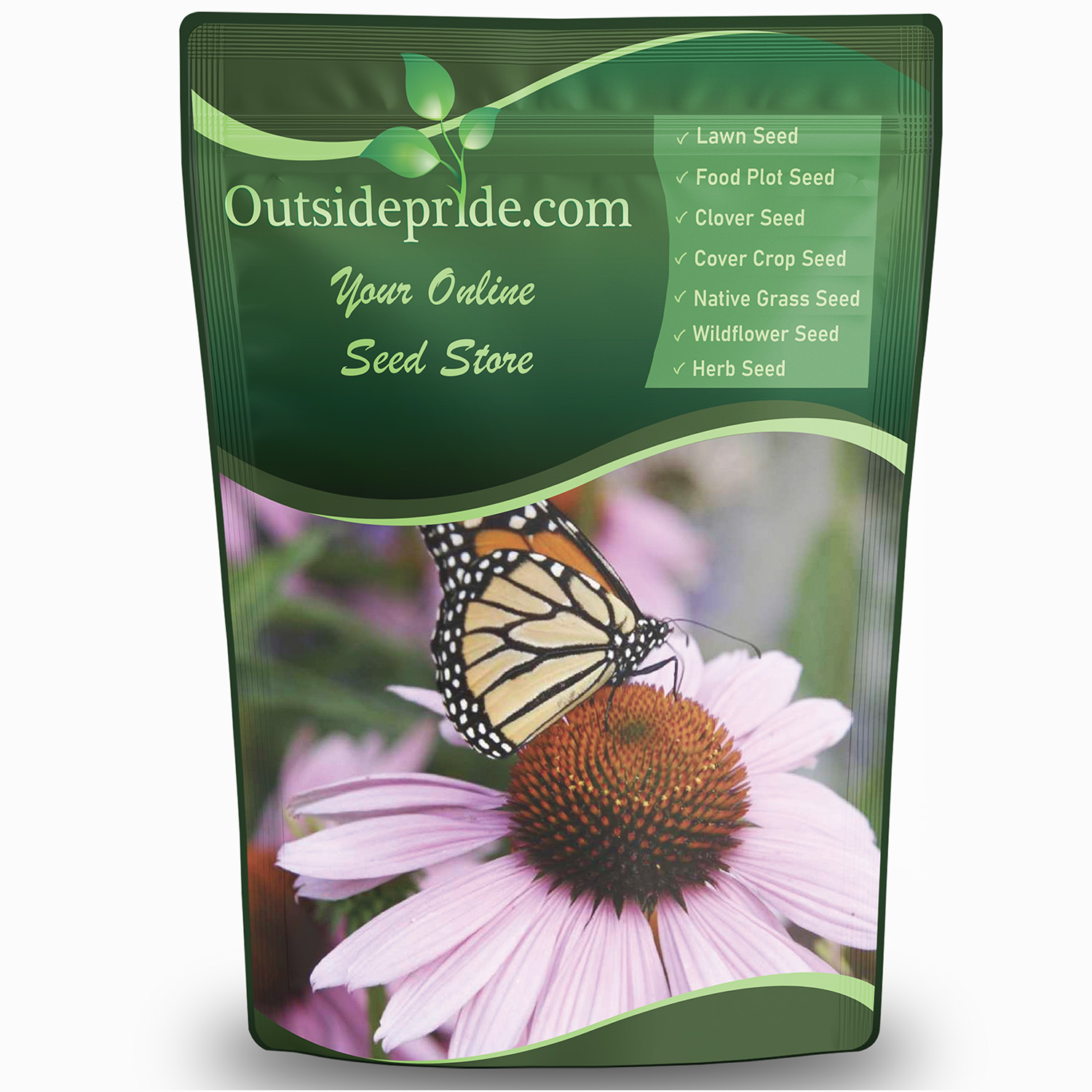 Purple Coneflower Wildflower