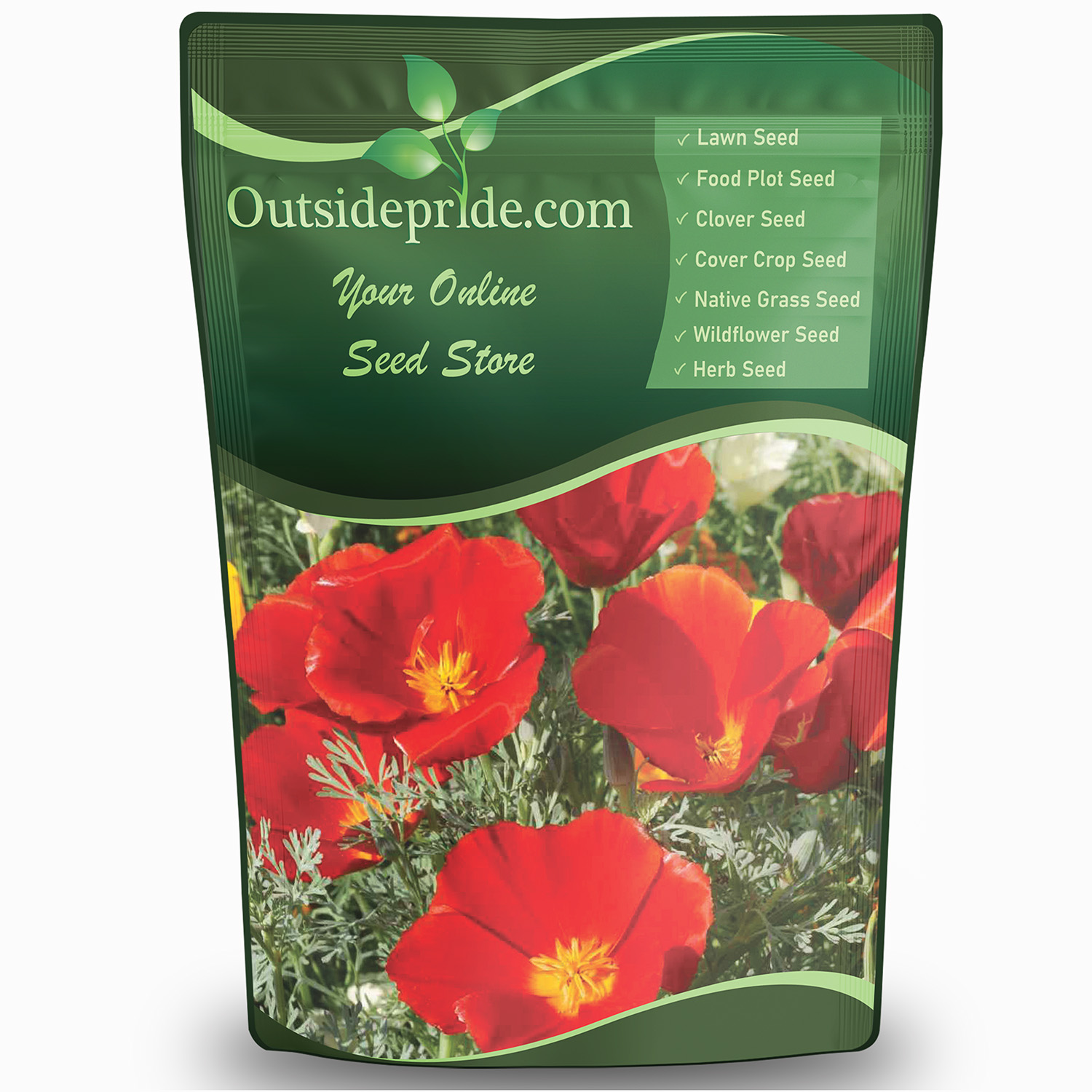 California Poppy Red Chief