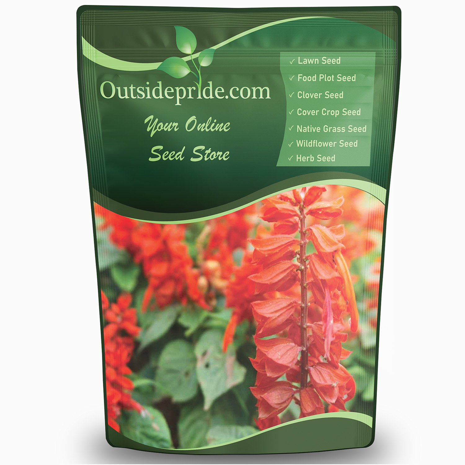Scarlet Sage Wildflower Plants