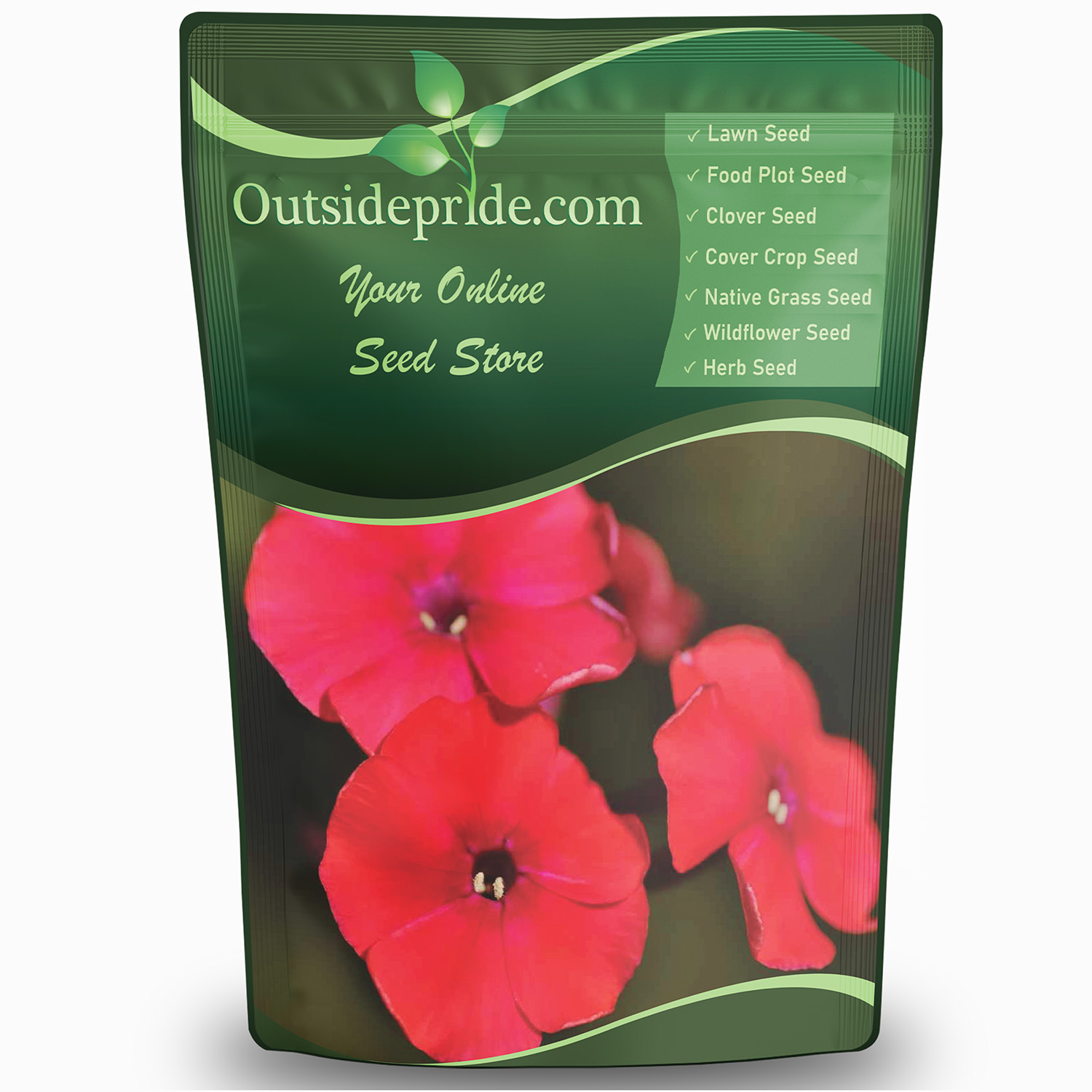 Scarlet Phlox Seed