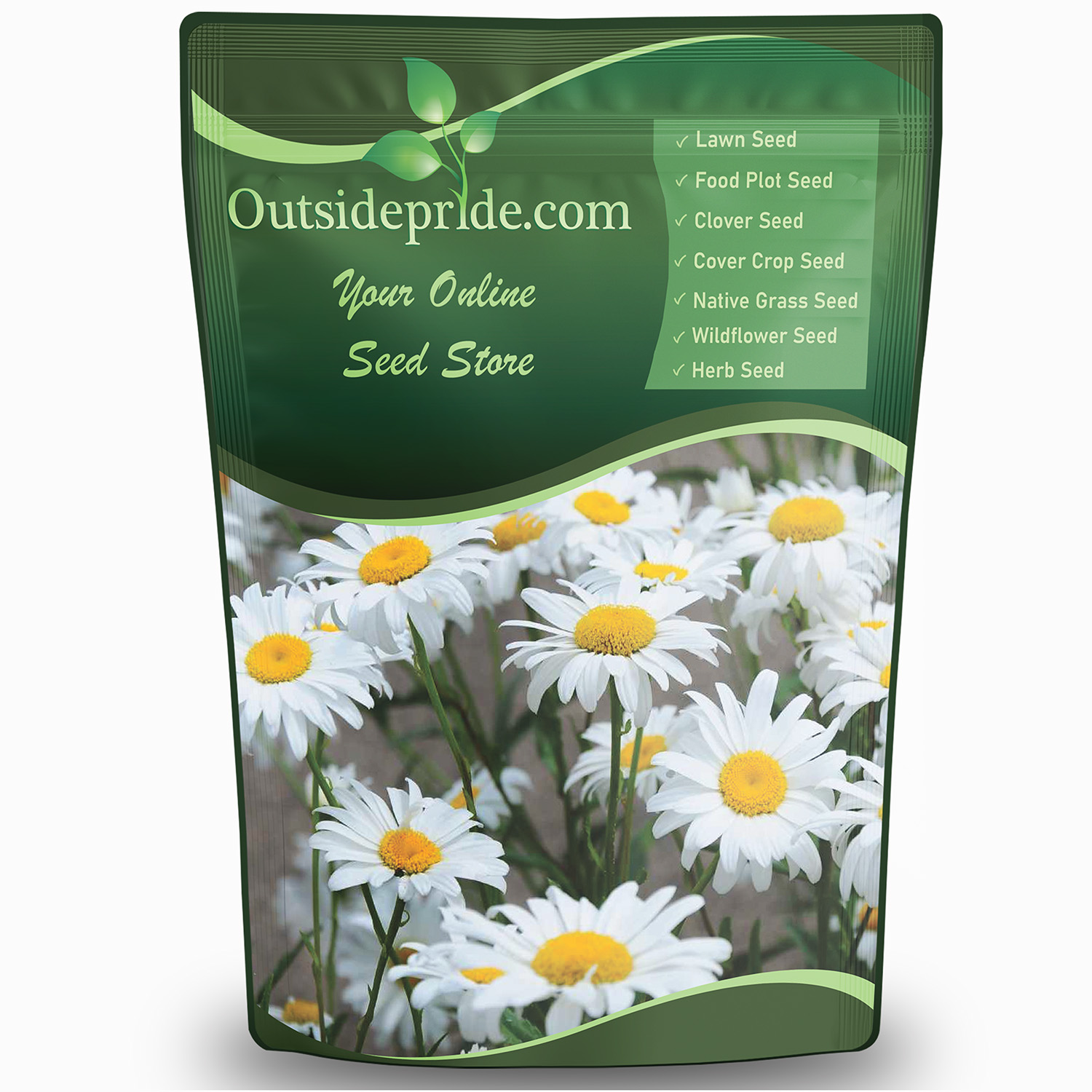 Perennial Shasta Daisy Wild Flower Seed