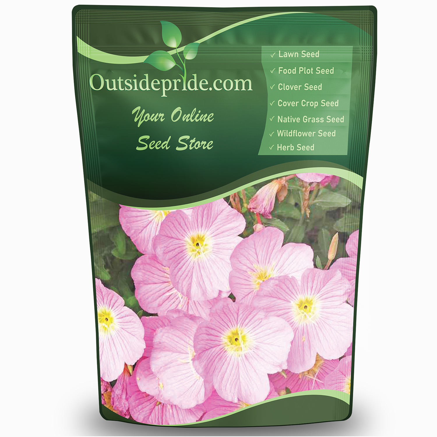 Perennial Showy Evening Primrose Bulk Seeds