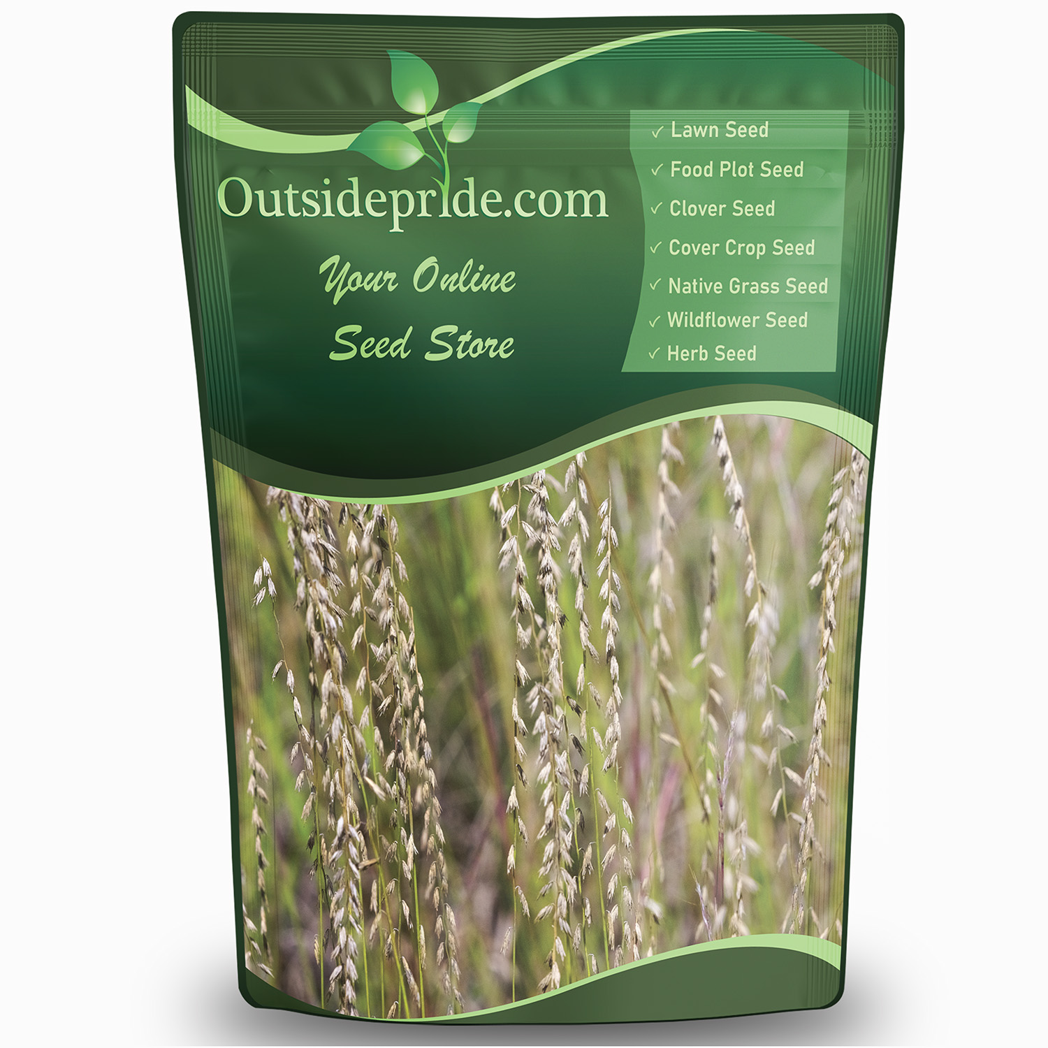 Sideoats Grama Bulk Grass Seed