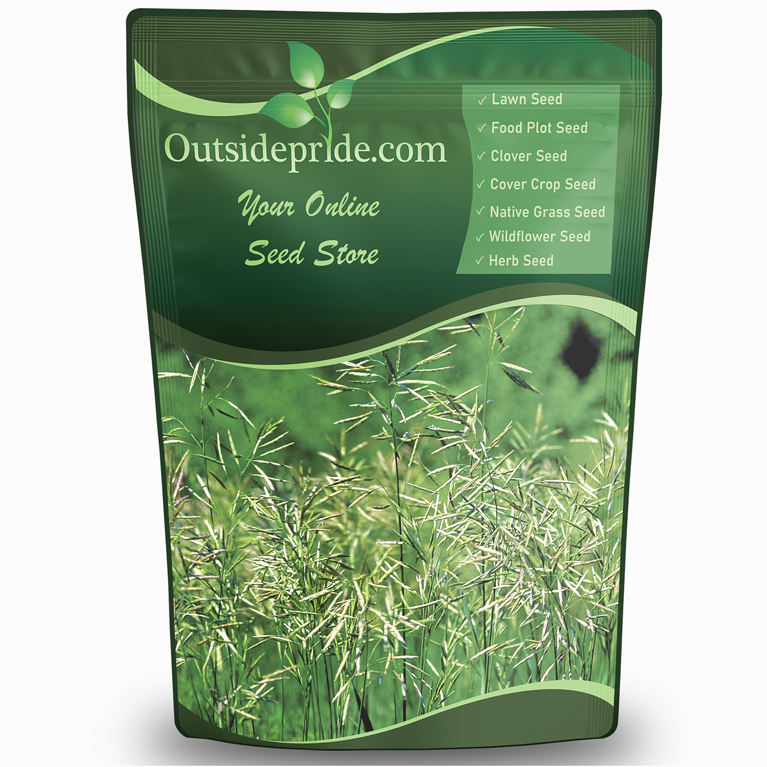 Smooth Brome Grass Bulk Seed