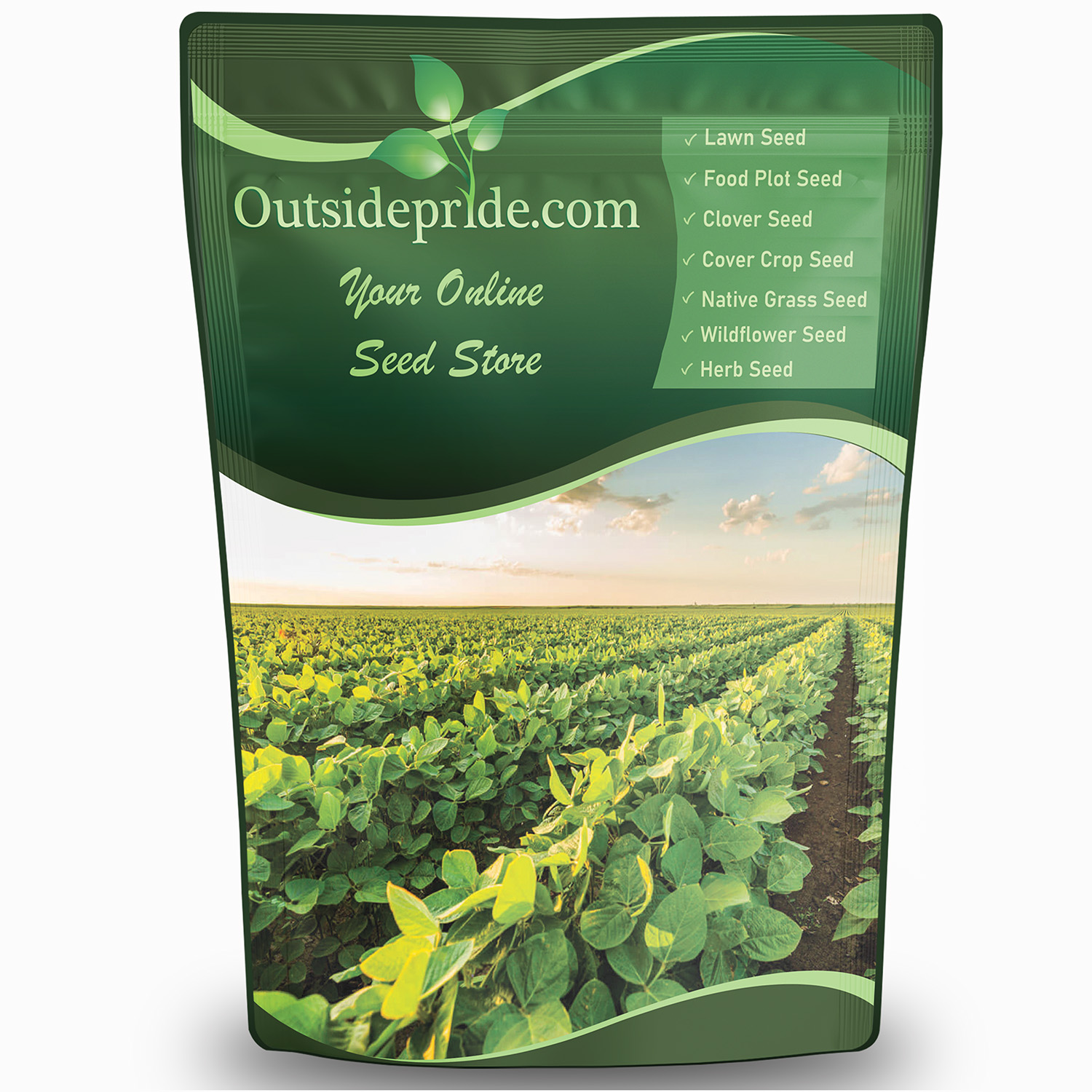 Soybean Field