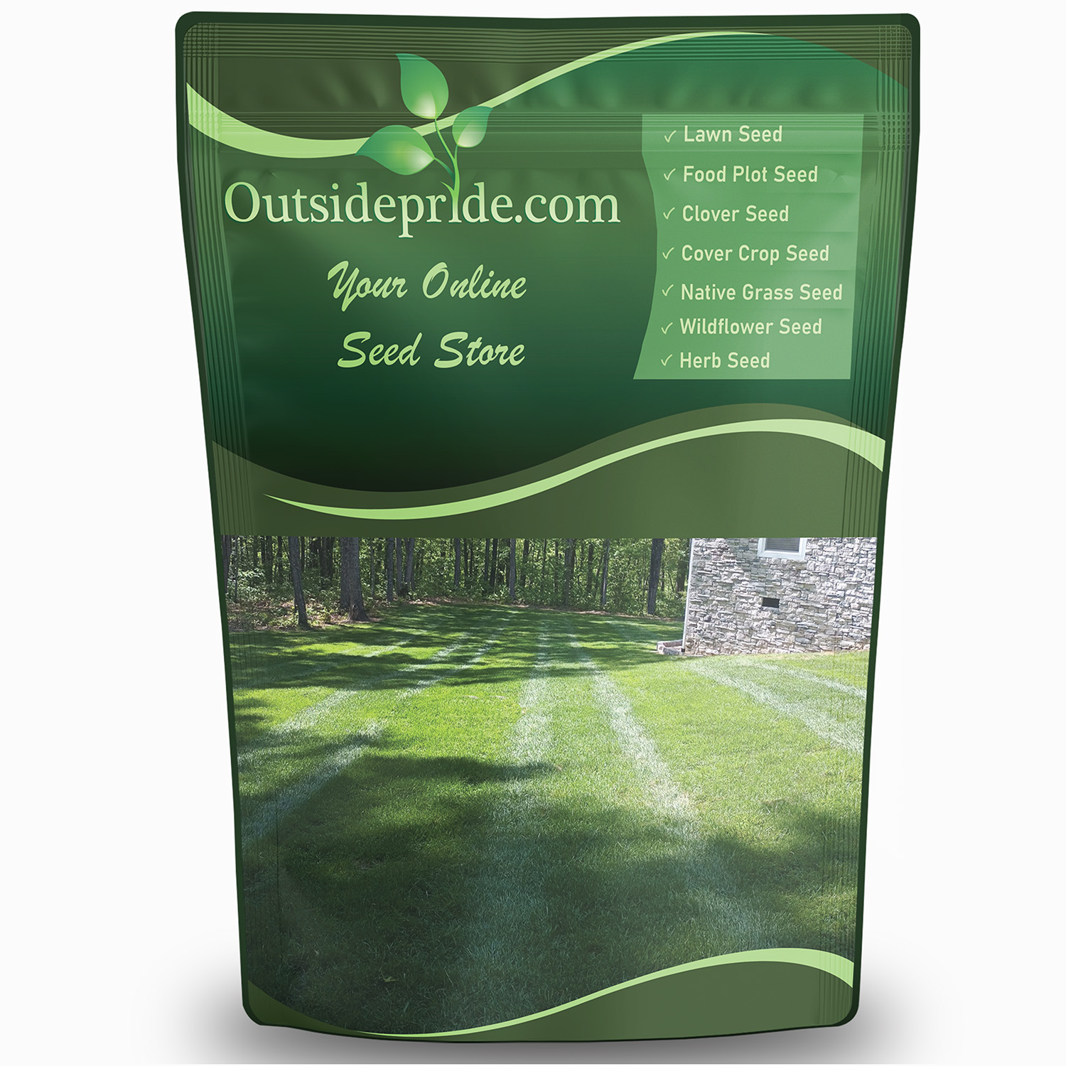 Hybrid Kentucky Bluegrass