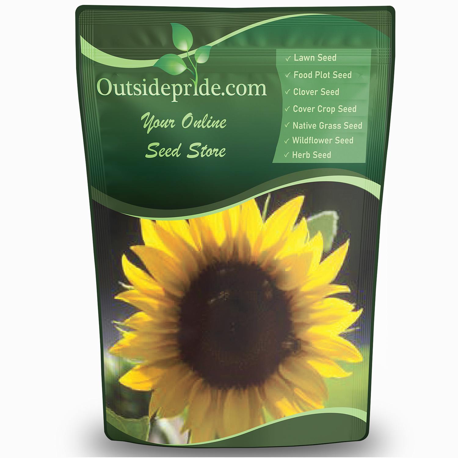Wild Sunflower Bulk Seeds