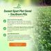 Sweet Spot Deer Nutritious Forage