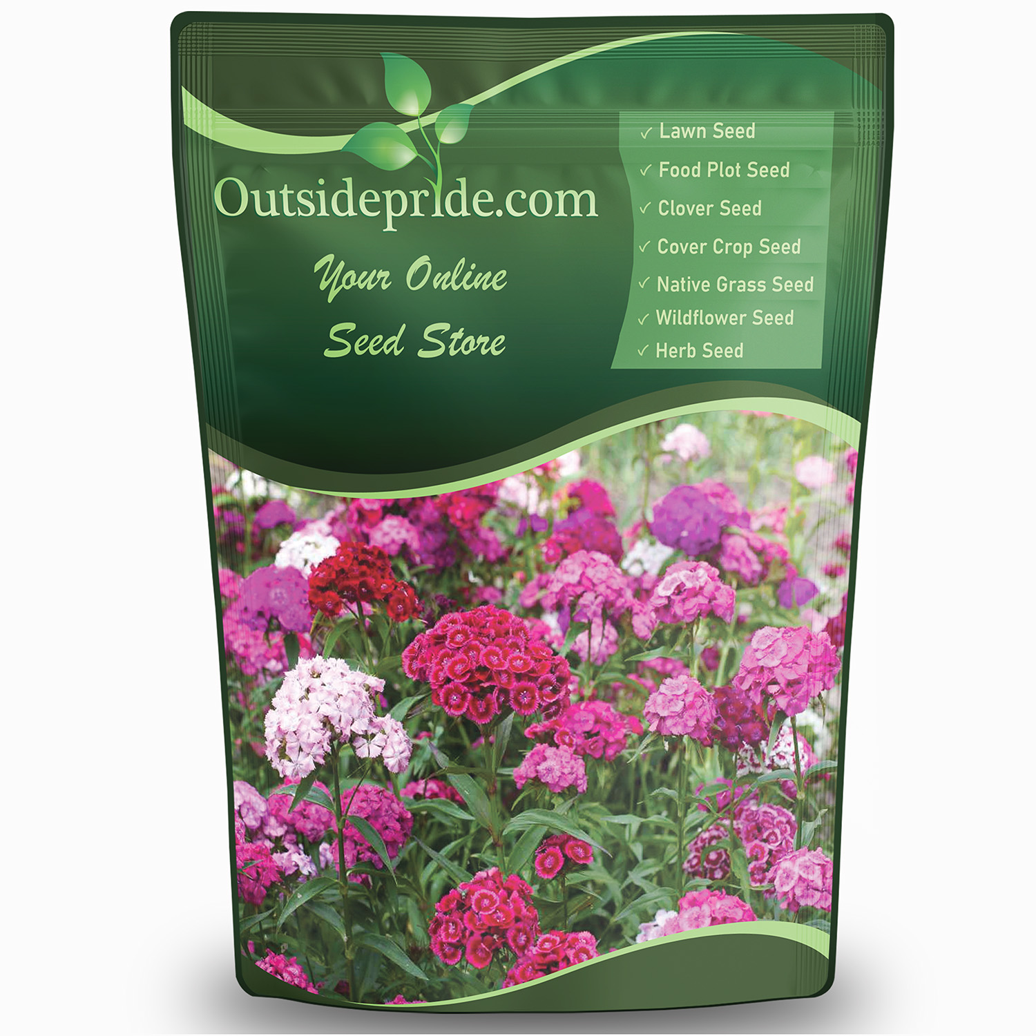 Sweet William Bulk Seeds