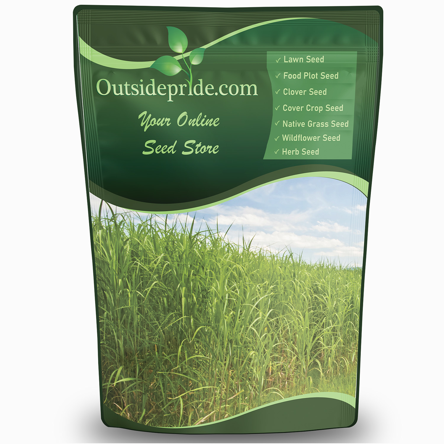 Switchgrass Native Forage