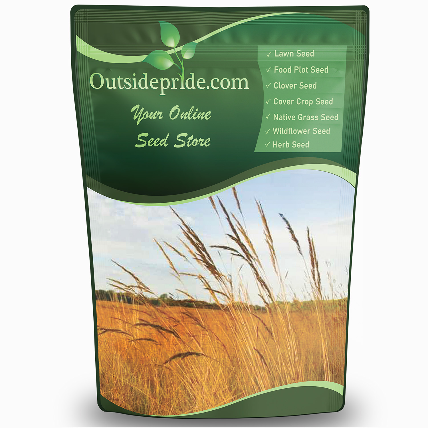 Tall Native Grasses