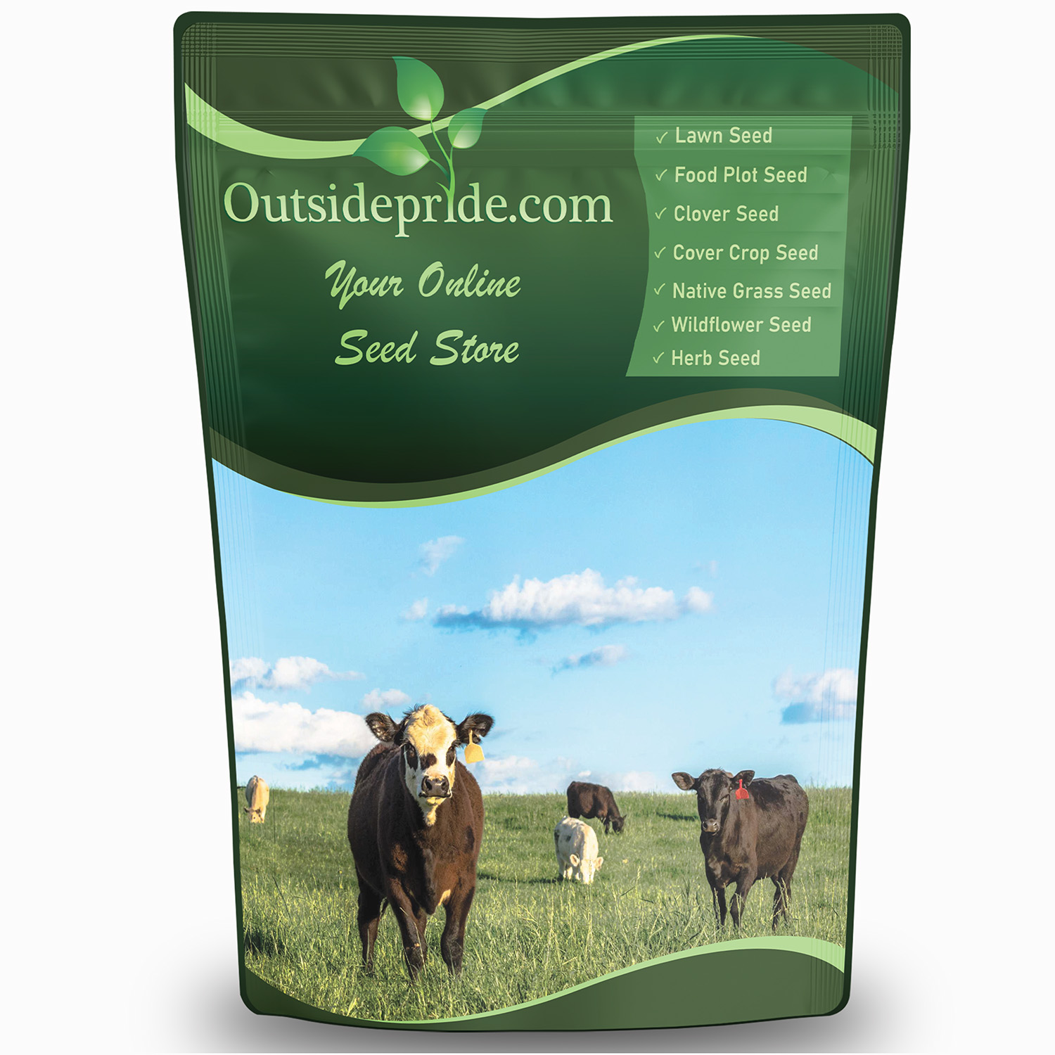 Perennial Ryegrass Forage Grass Bulk Seed