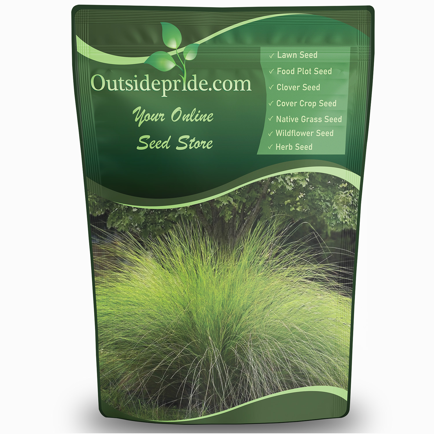 Weeping Lovegrass Bulk Seed