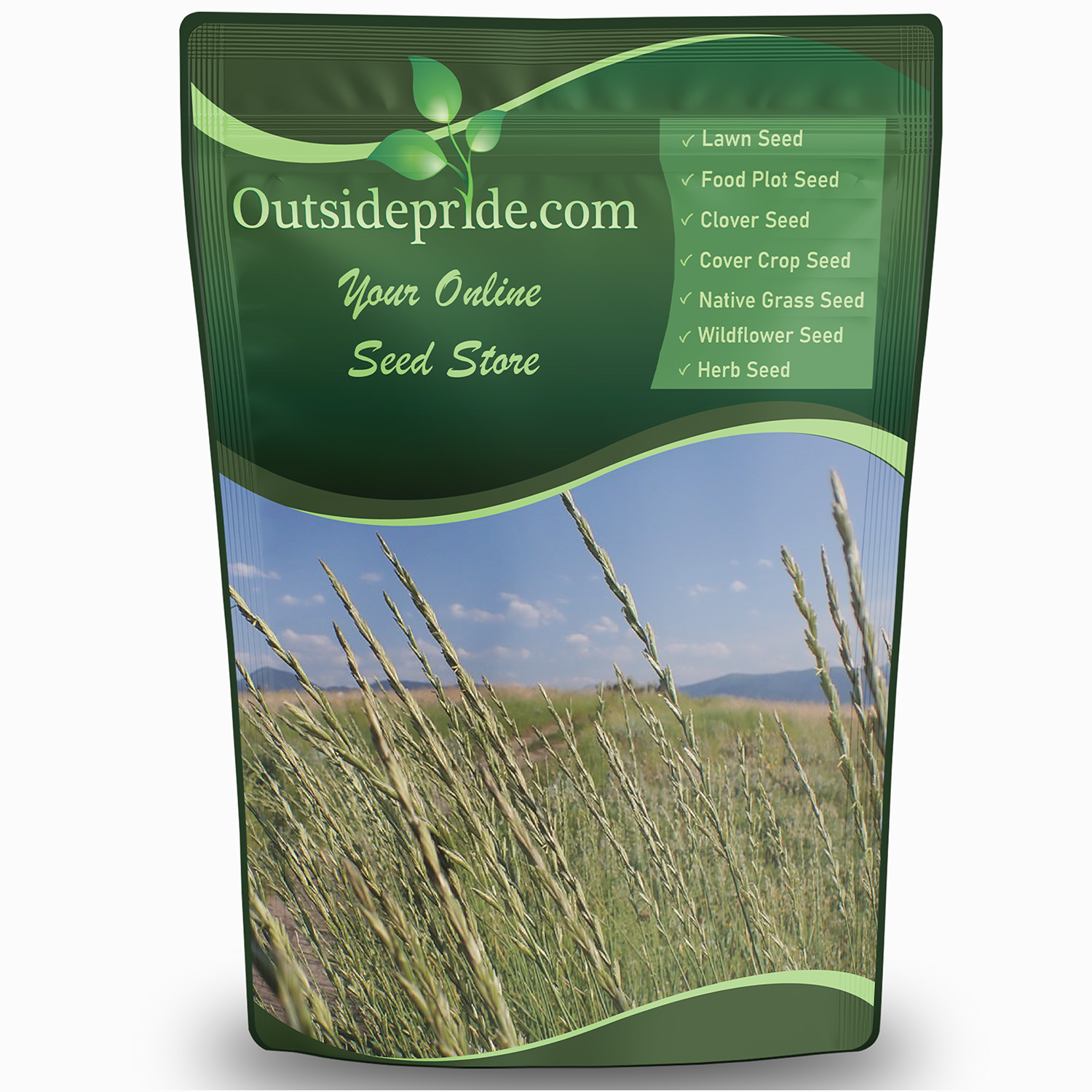 Intermediate Wheatgrass Bulk Seed