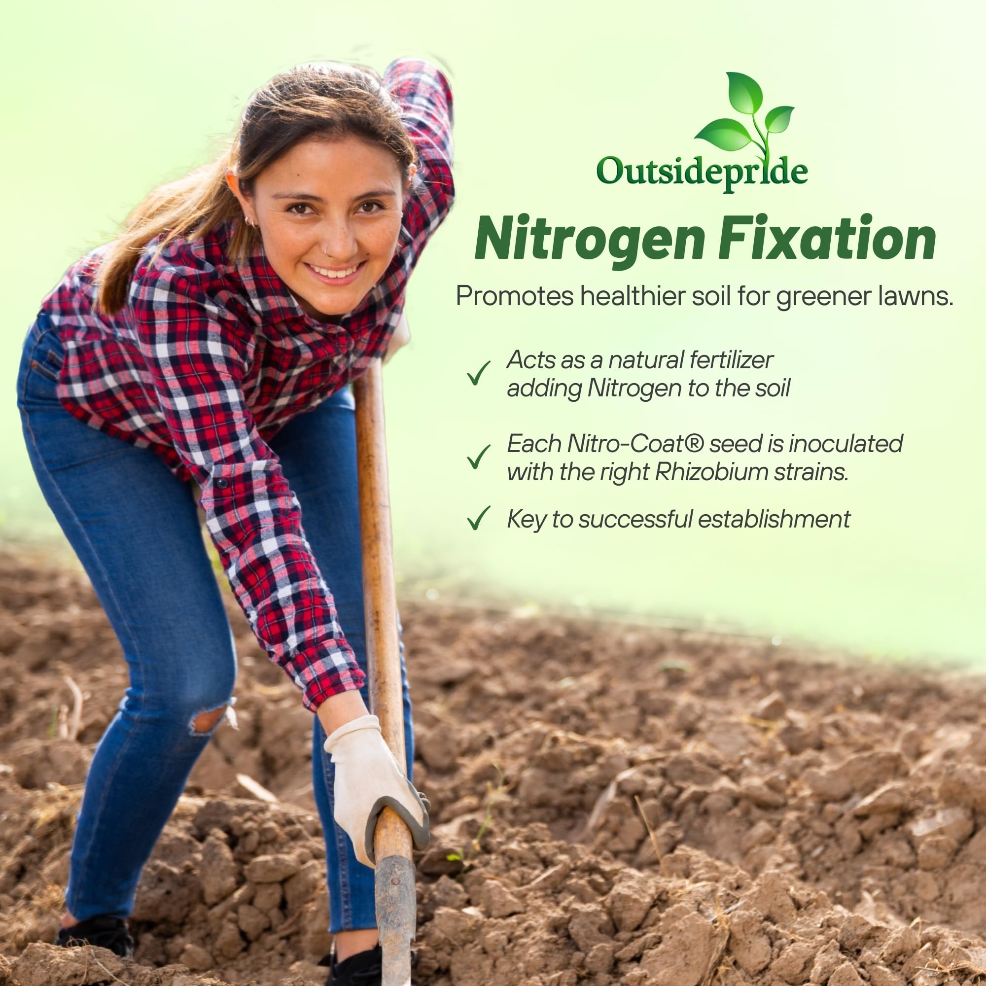 White Dutch Clover Planting Instructions