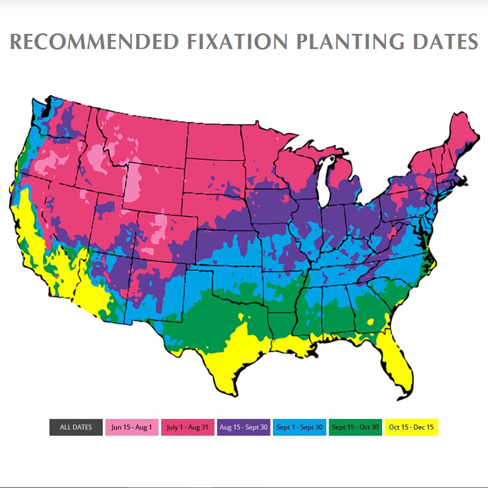 Fixation Clover Planting Dates