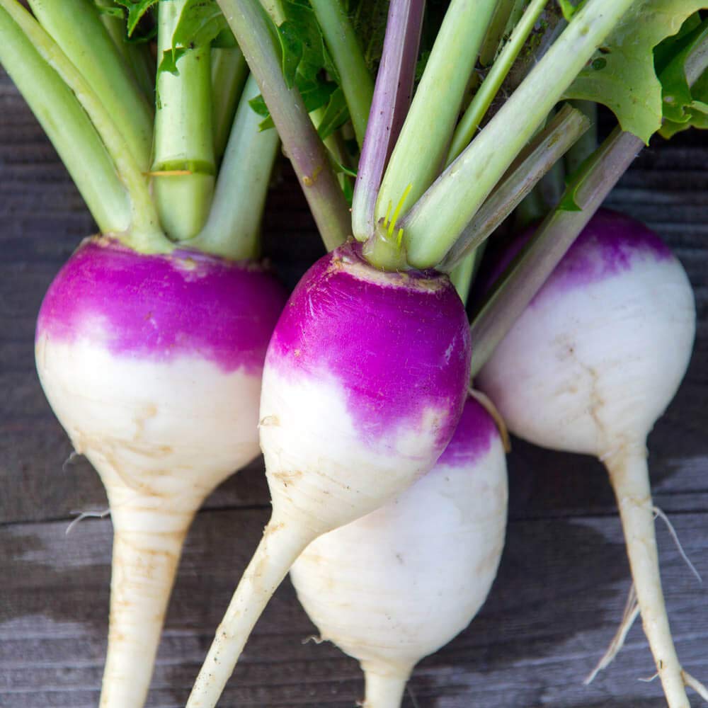 This Purple Top Turnip...