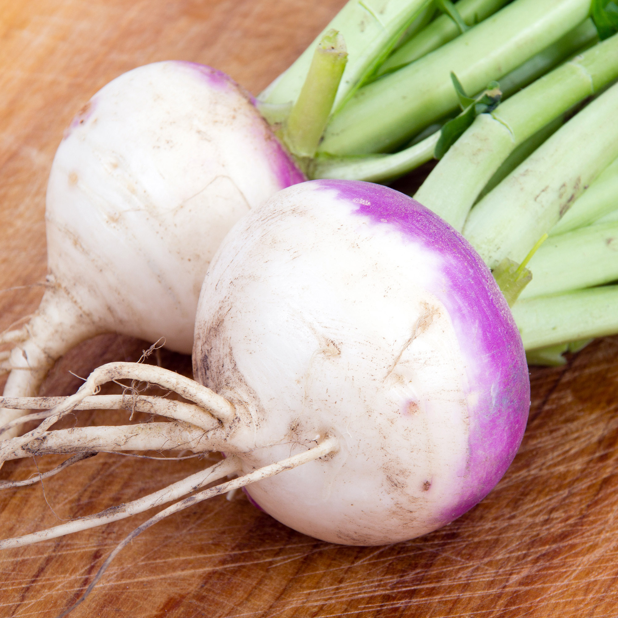 Purple Top Turnip Seed
