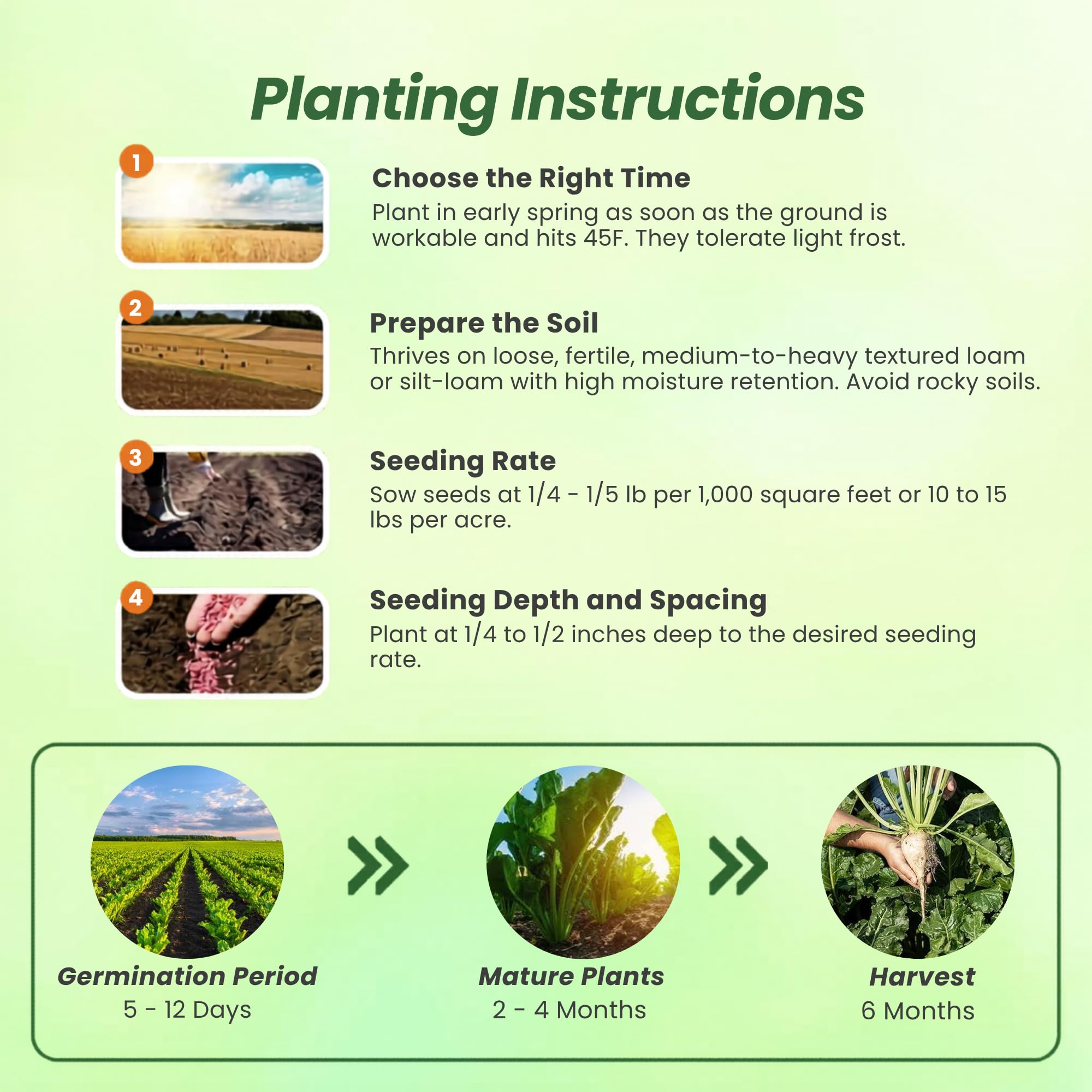 Sugarbeets Deer Food