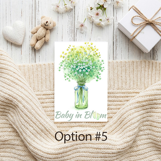 Baby Announcement Seed Packet Favor Option 6