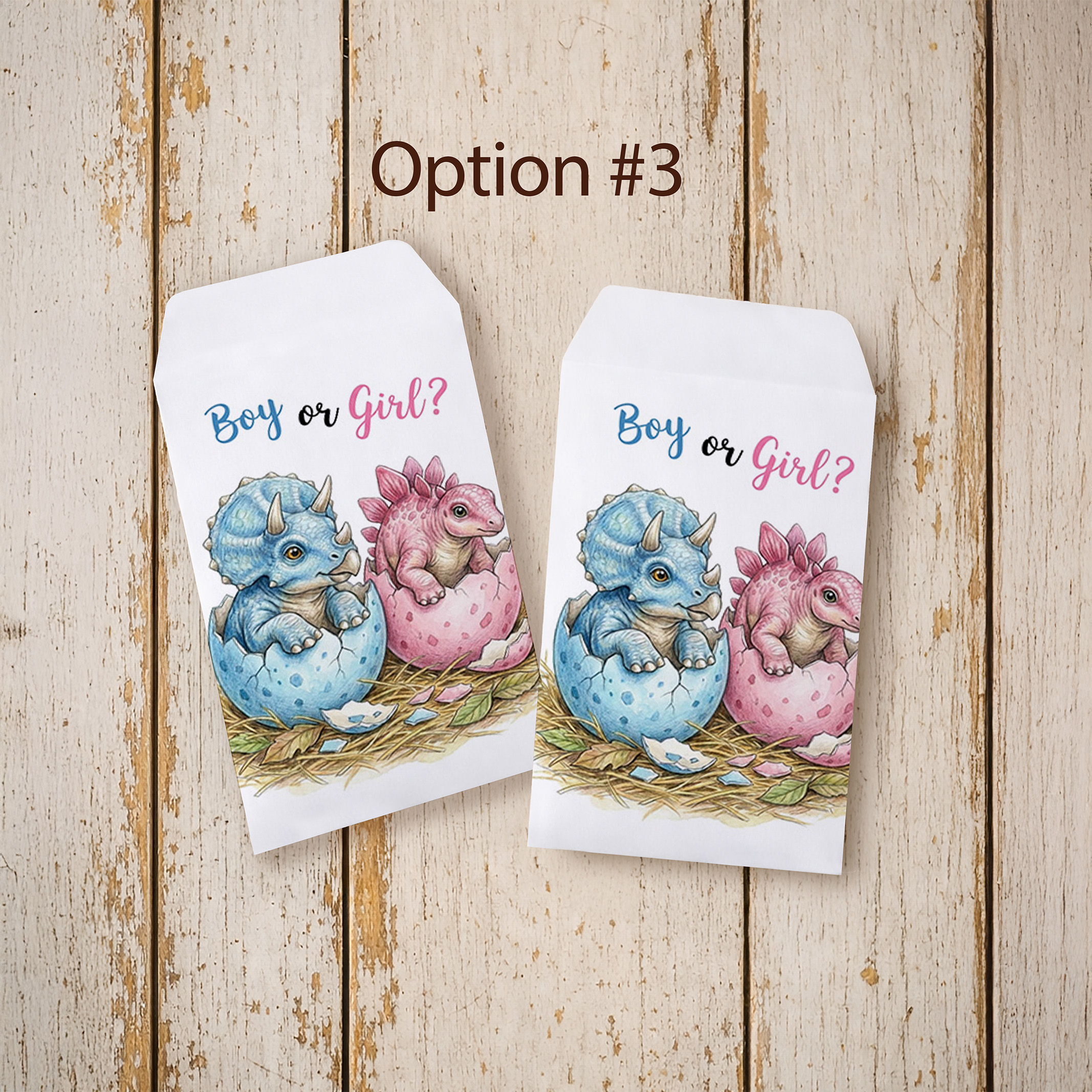 Gender Reveal Seed Packet Favor Option 3