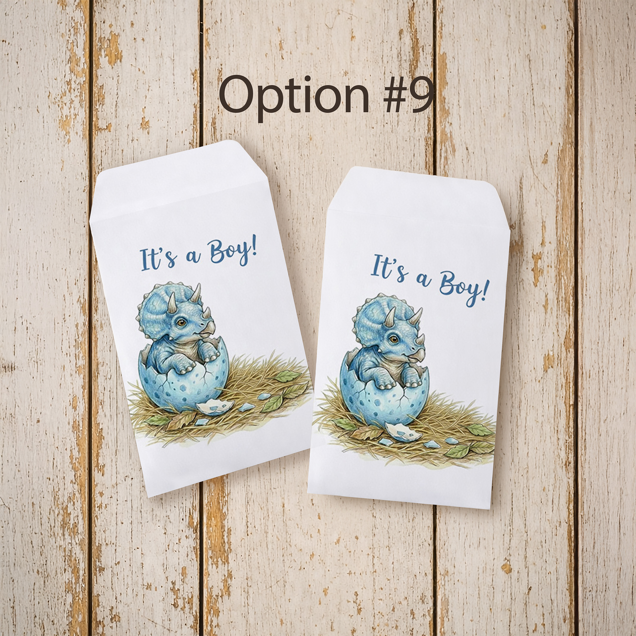 Baby Shower Seed Packet Favor Option 9
