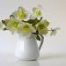 Christmas Rose Flower Vase