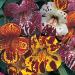 Annual Mimulus Magic Blotch Flower Mix
