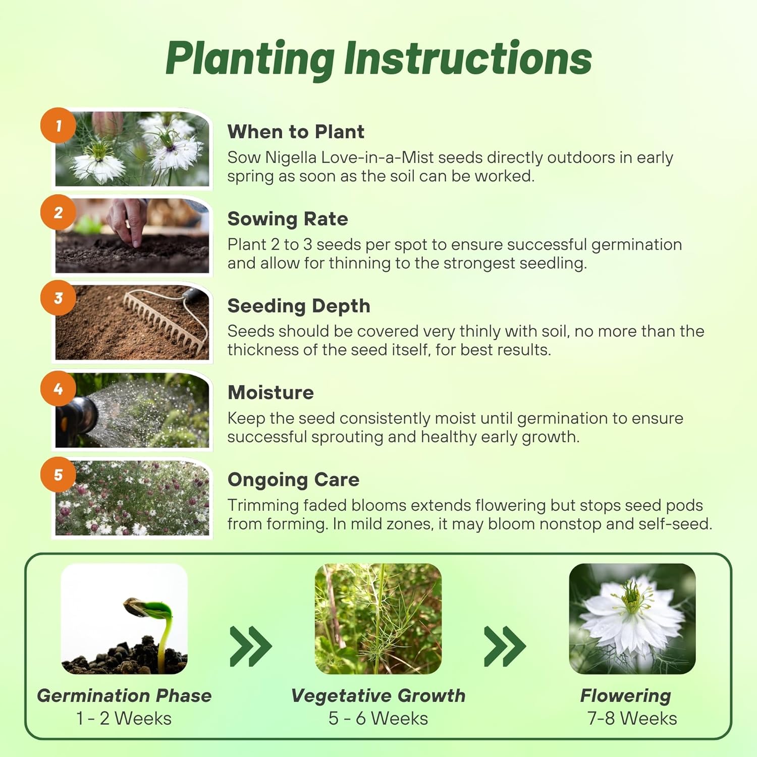 Love-In-A-Mist Marbles Flower Planting Directions