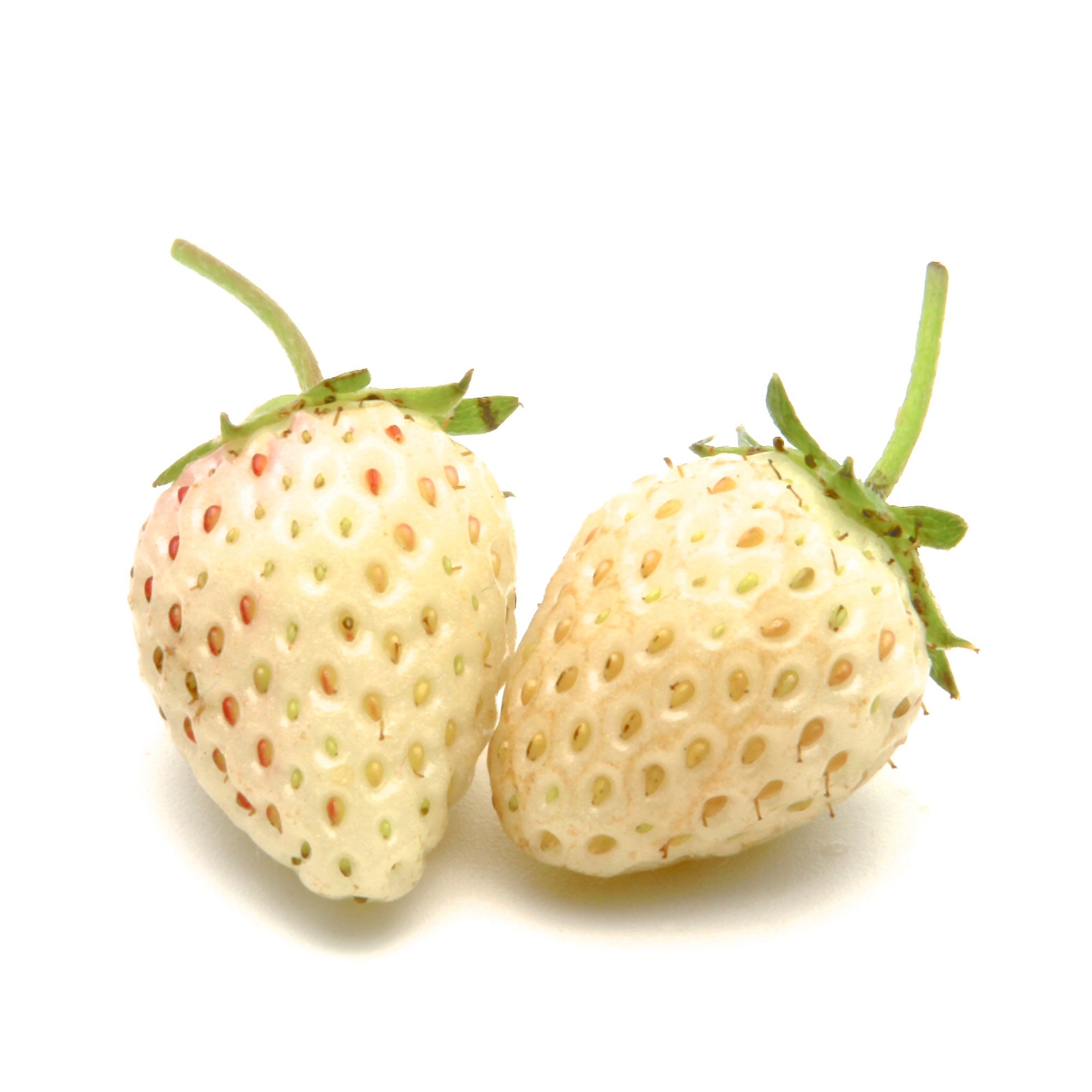 White Strawberries