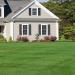 Blackjack Bermuda Grass Turf