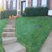 Grass Seed Lawn