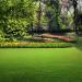 Creeping Red Fescue Grass