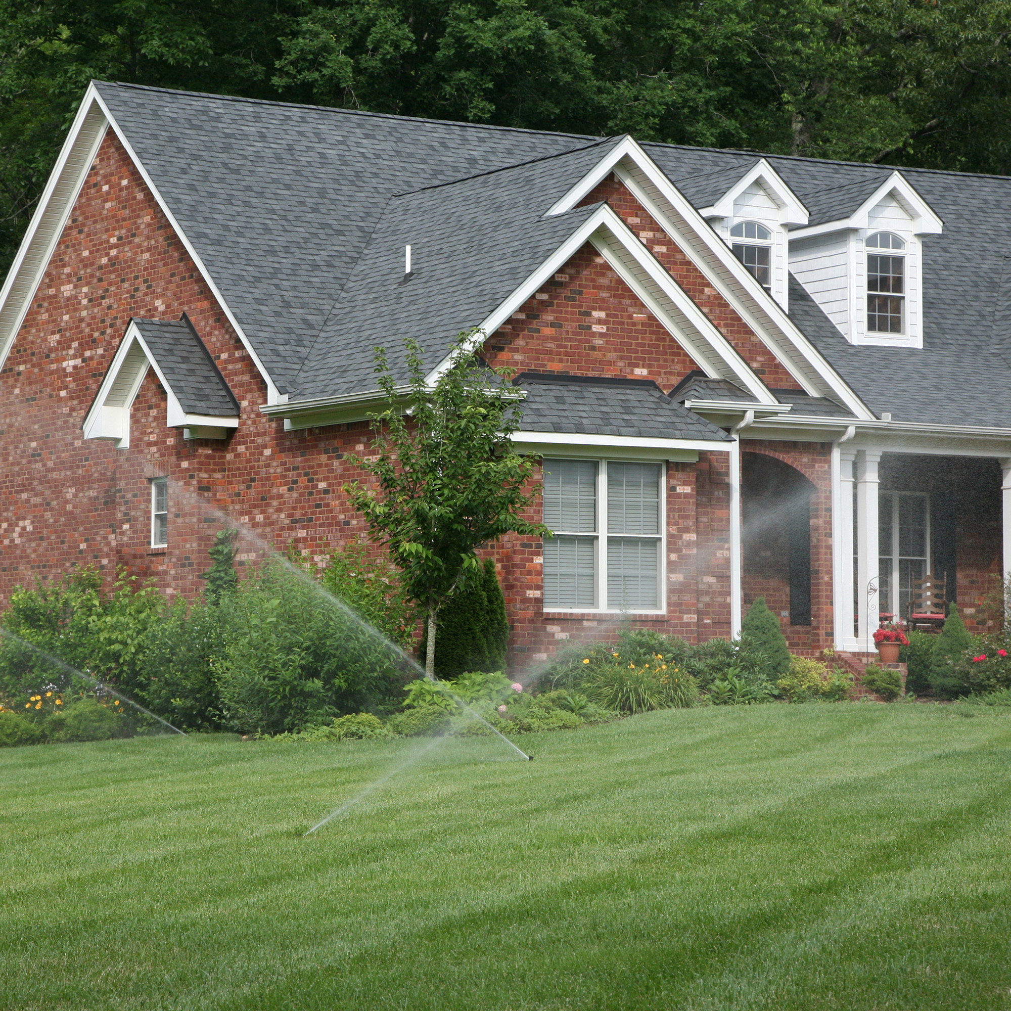 Garland Grass Seed Mixture