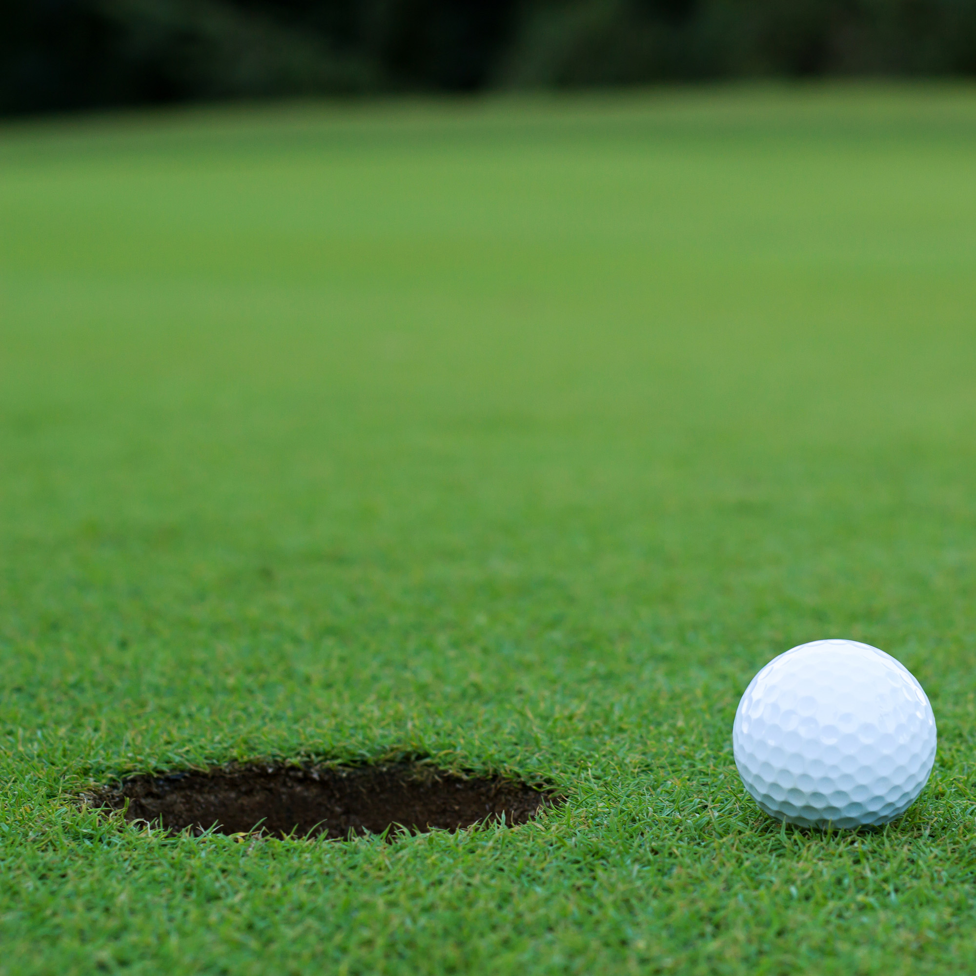Putting Green Fertilizer