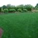 Midnight Kentucky Bluegrass Grass Seed