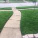 Kentucky Bluegrass Seed