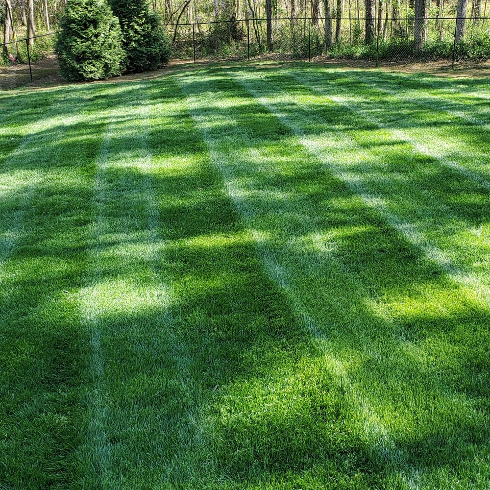 Outsidepride Midnight Kentucky Bluegrass