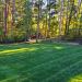 Midnight Kentucky Bluegrass Lawn Grass Seed