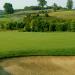 Backyard Putting Green