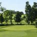 Penncross Putting Green