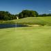 Penncross Turf