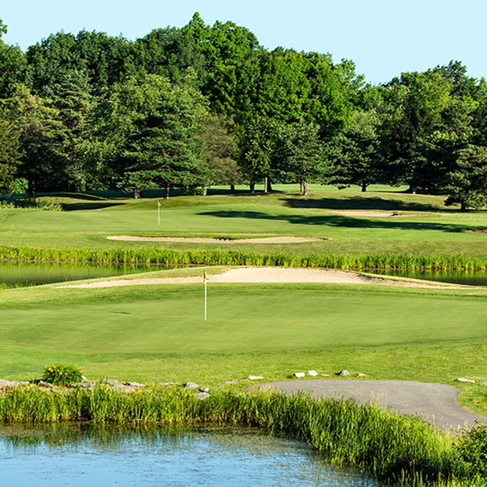 PC2.0 Golf Course Grass